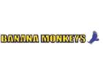 logo.GIF